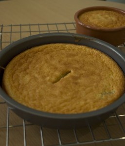 Lemon cheesecakes, fresh out of the oven!